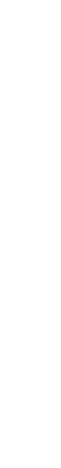 RINGOSOFT